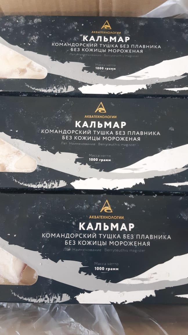 Кальмар